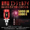 Camelight Red Light CCFL Motorcycle LED Headlight H4 / HS1 Hi/Lo DC / 24V Universal White Light 6000K (Red)