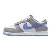 Nike Кроссовки детские Dunk Low PS Cement Royal Pulse серо-бело-цементно-серые FB9108-121