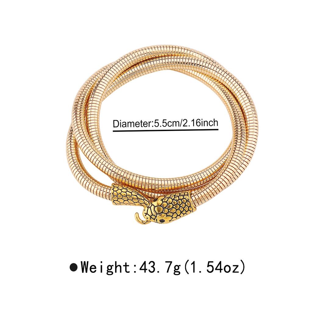 Winding Serpentine Niche Design Sense Personality Collar Bracelet Hip Hop Style Collarbone Chain Accessories