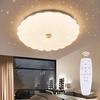 LED Ceiling Light, Starry Sky Effect, 30W, Dimmable, Color Adjustable, Suitable for Rooms 4-6 Tatami Mats, Night Light, Ceiling Light, Interior