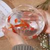 Portable Transparent Round Fish Tank Clear Desktop Aquarium Bowl Fish Bowl  Small Aquariums