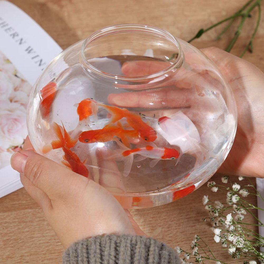 Portable Transparent Round Fish Tank Clear Desktop Aquarium Bowl Fish Bowl Small Aquariums