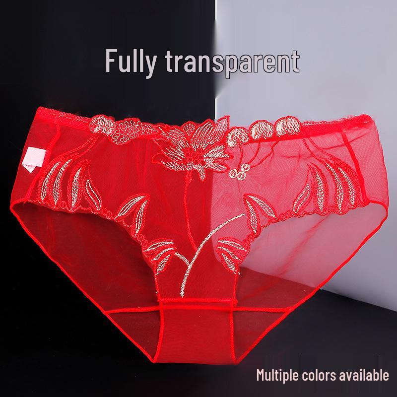 Yan Beiwei Women's Plus Size Mid-Waist Embroidered Sheer Briefs 836