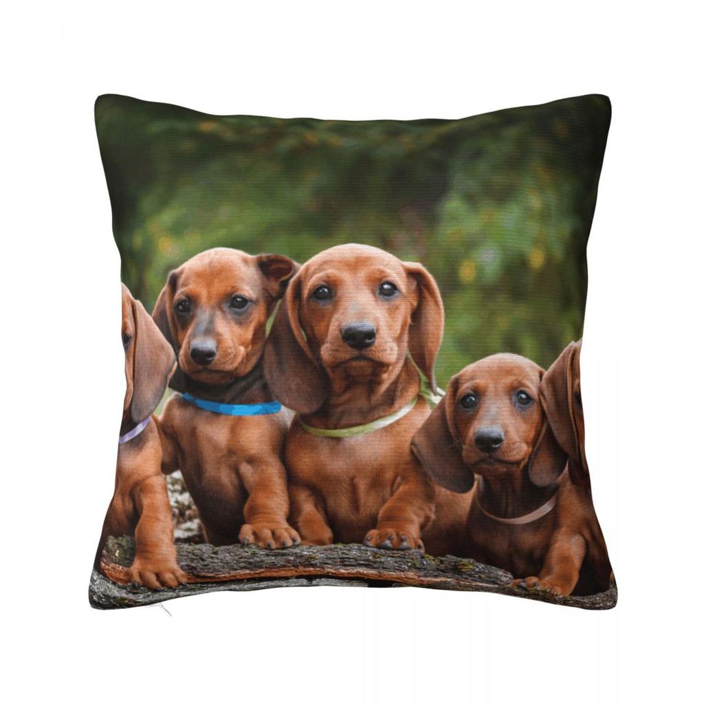 Sighthound Pet Dachshund Animal Hip Hop Cute Square Pillow Cases Dog Lover Cushion Cover Vintage Decorative Pillowcase for Home