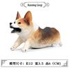 Игрушка-модель собаки корги - Креативное сплошное украшение для питомца