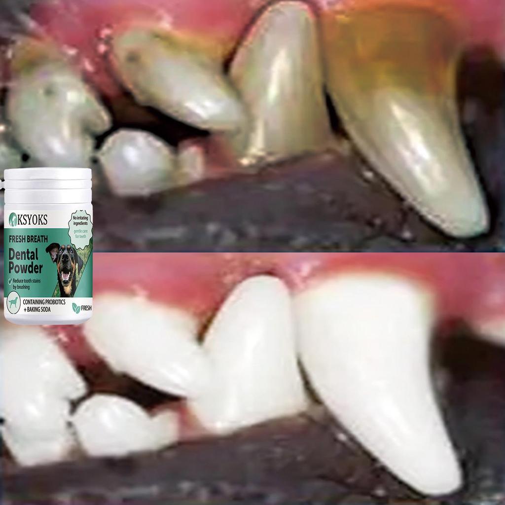 Pet Tooth Powder Has No Harmful Additives, Gently Cleans Without Harming Pets, and Is Suitable for Long-term Daily Use