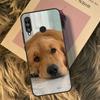 Чехол для Huawei Nova 9 10 SE 3i 7i 8i 11i 12i Y60 Y61 Y70 Y72 Y73 Y90 Y91 P20 P30 P40 Lite с изображением золотистого ретривера