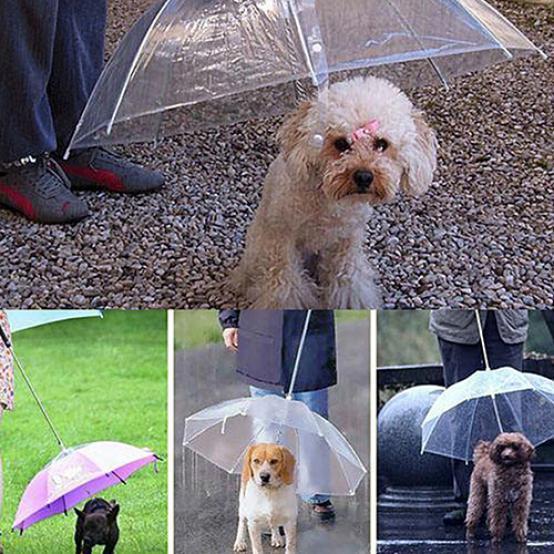 Dog Walking Waterproof Clear Cover Built-in Leash Rain Sleet Snow Pet Umbrella