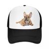 Fashion Unisex French Bulldog Trucker Hat Adult Frenchie Dog Adjustable Baseball Cap for Unisex WoUnisex Sun Protection Snapback Hats