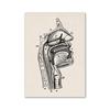 Vintage Human Anatomy Artwork Medical Wall Picture Muscle Skeleton Poster Canvas Art Print Education Hospital Pharmacy Paintings