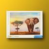 Sunset Elephant In the Plains 500 Piece Clementoni Jigsaw Puzzle, Popular Korean Board Game