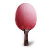 Deeplin 6 Stars Pro Carbon Structure Table Tennis Racket Ddouble Pimples -In Rubber Ping Pong Racket Tenis De Mesa Table