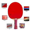 Double Fish Beginner Fast Attack Training Table Tennis Bat