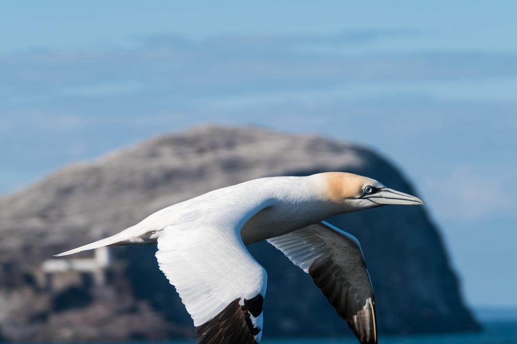 Fujifilm Fujinon Телеконвертер XF2X TC WR