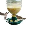 Green Hanging Bird Feeder Automatic Hanging Feeding Tray Bottle Mouth Docking  Outdoor