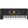 KORG Entertainer Keyboard with Home Outdoor Cafe Automatic Battery Music Included EK-50 Built-in Speaker, Practice, Performance, Live, Accompaniment,