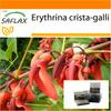 Garden in the Bag - Cockspur Coral Tree - 6 семян - С субстратом в подходящем пакете - Erythrina cristagalli