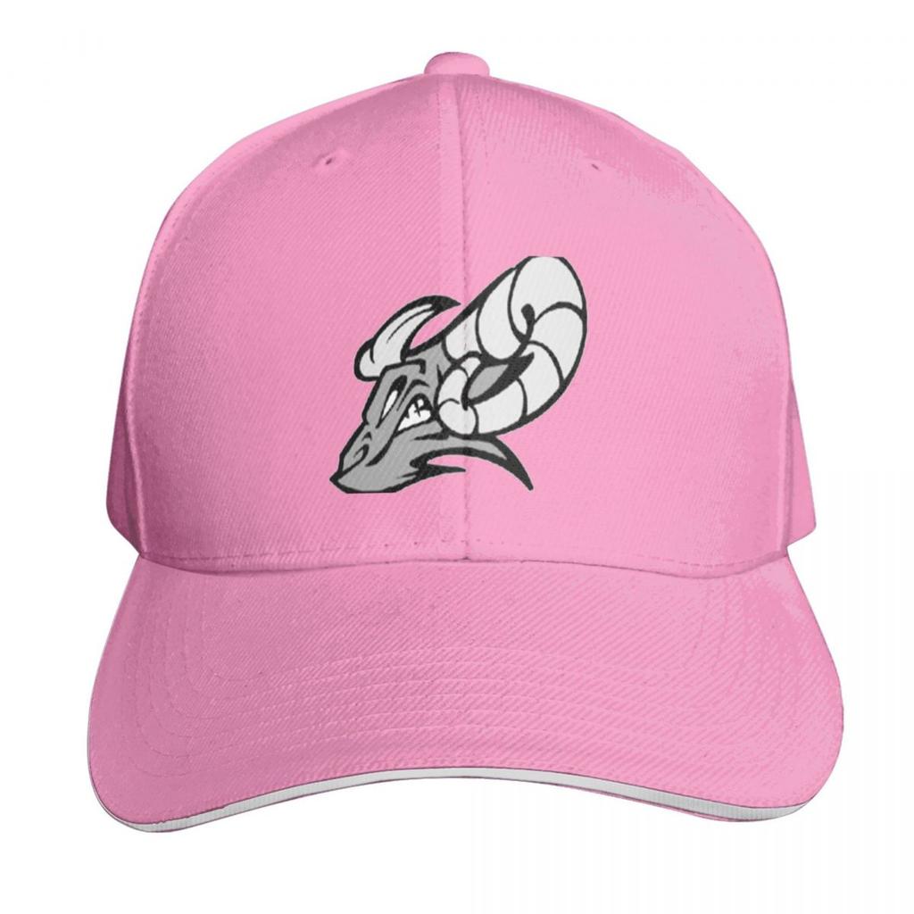 Бейсболка Helena Bighorns Унисекс шляпа GentleUnisex Шляпа с капюшоном Винтажные кепки Унисекс Женские