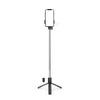 Telescopic Selfie Stick with 0.71m Tripod & Ring Light - Black