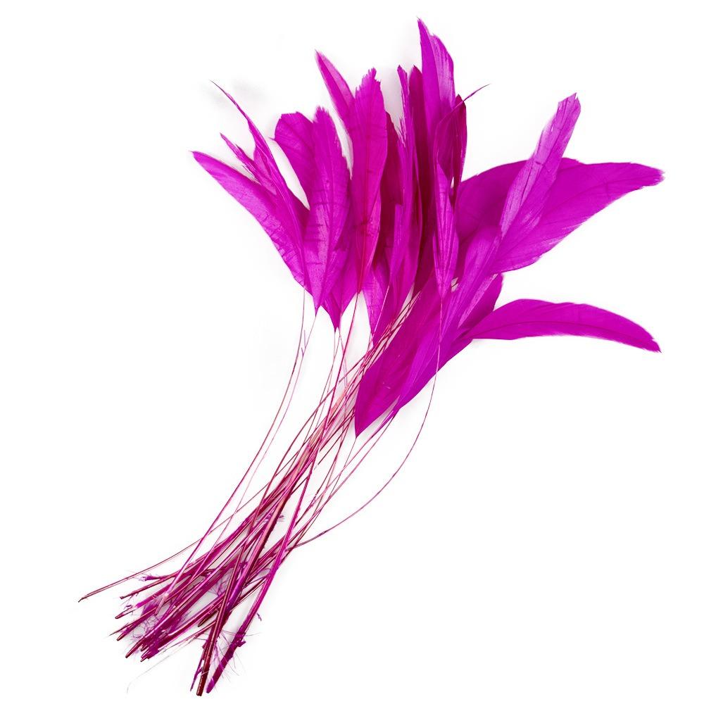 10Pcs Multicolor Rooster Feather Natural Feather Clothing Accessories Feathers Headwear Accessories