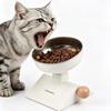 750 ML Cat Elevated Bowl Stainless Steel Pet Feeder Bowl Anti-knock Pet Water Bowl  for Dogs Cats