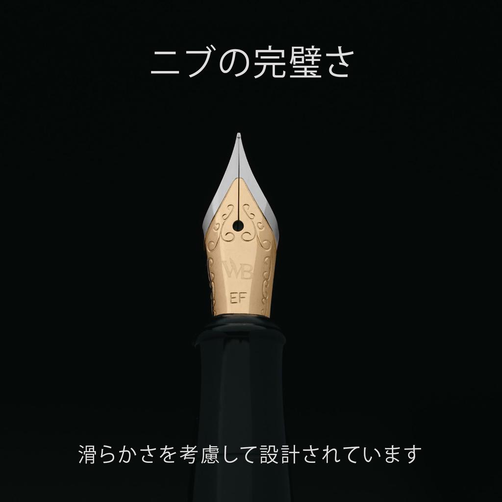 Wordsworth Black Fountain Pen 18K Ink Ink Refill Gift Pouch Gold Ideal for Men and Women & Set, Gold-Plated Extra-Fine Nib, 24-Pack Cartridges,