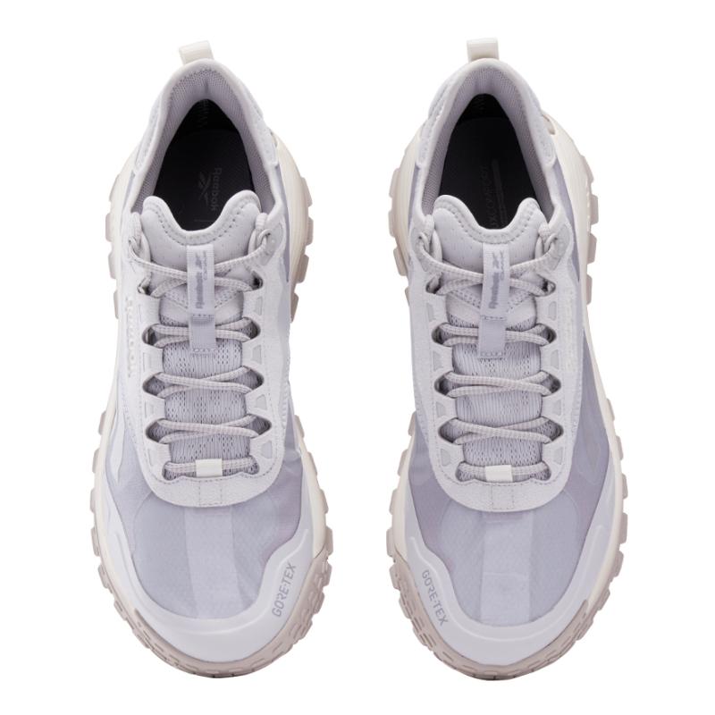 Reebok Кроссовки Dmx Trail GORE TEX 'Grey Stone Chalk' 100200884