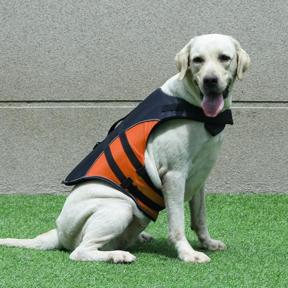 Adjustable Pet Safety Vest Enhanced Buoyancy Dog Swimming Suit  Outdoor Activities