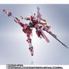 METAL ROBOT Spirits SIDE MS Infinite Justice Gundam 20th Anniversary Ver.