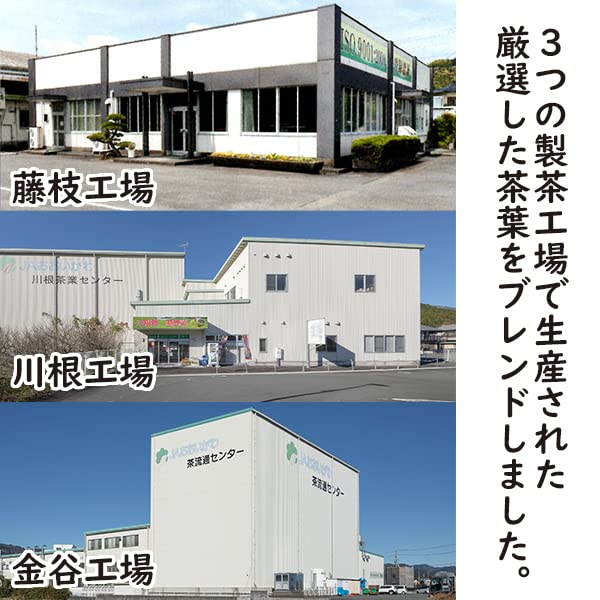 JA Oigawa Чай JA Oigawa Зеленый чай в пакетиках 3 г x 40 Чай Сидзуока Сенча из префектуры Сидзуока Холодный заварной чай Чай матча в пакетиках