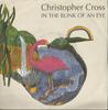 7inch Record CHRISTOPHER CROSS - In The Blink Of An Eye 74321102907 Ariola 1992 Europe Rock Used