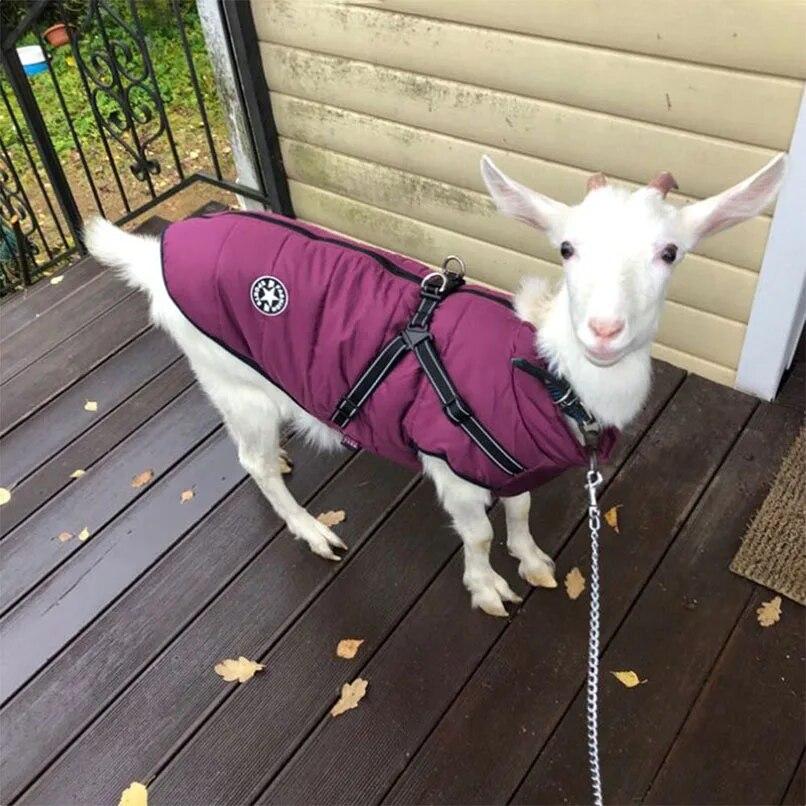 Одежда для щенков, зимнее пальто для собак, куртка для маленьких и средних собак, светоотражающий костюм, одежда для домашних животных, одежда для чихуахуа, французского бульдога, мопса