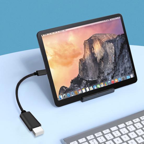 Адаптер USB C к USB Тип C OTG Кабель USB C «папа» к USB 2.0 «мама» Кабель-адаптер для офиса