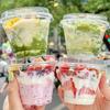 Disposable Clear Cold Beverage & Dessert Cups