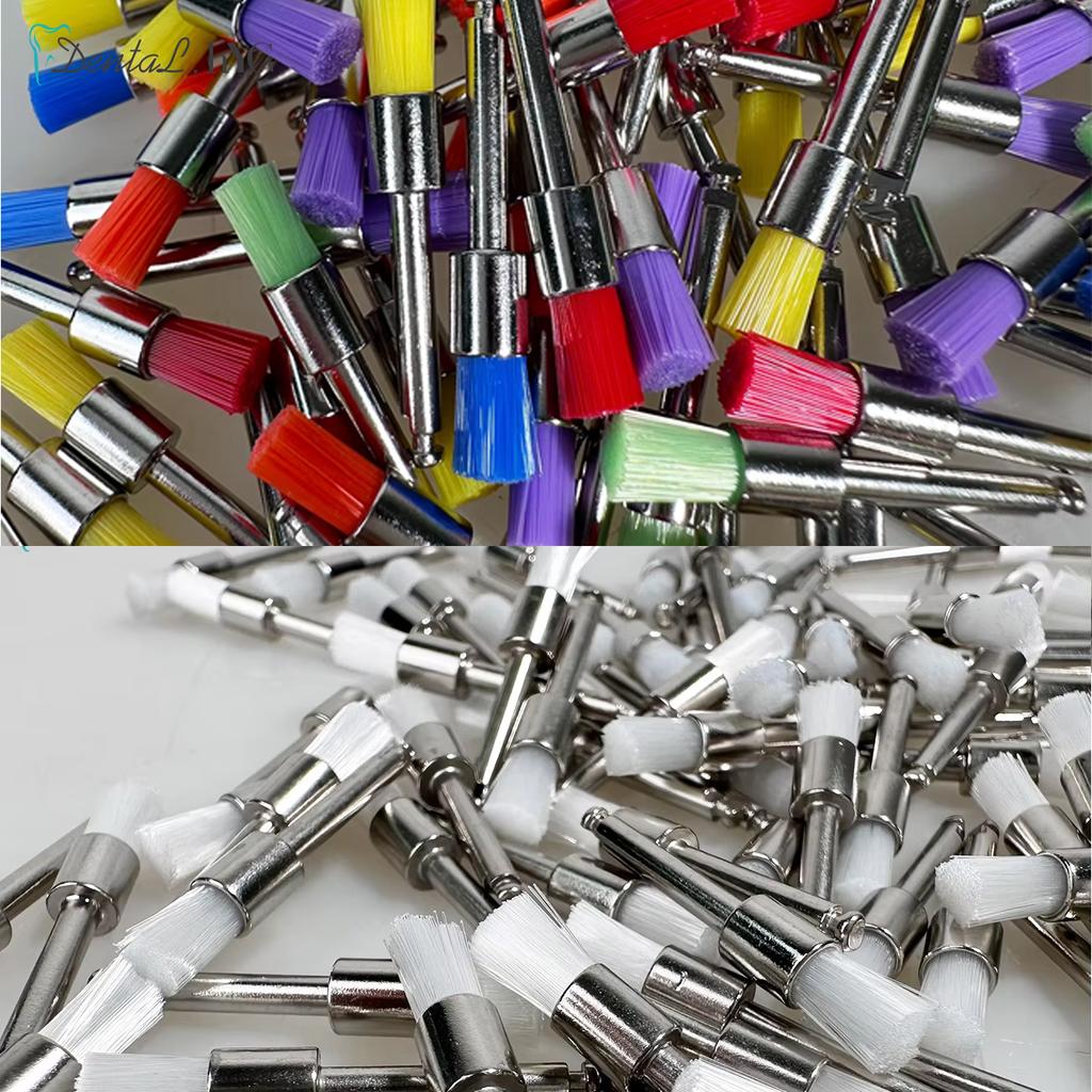 100pcs Dental Prophy Brushes Polishing Polisher Disposable Latch type Mixed color Plat Used for stain removal and polish