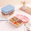 Bento Box Large Capacity 3 Compartments Reusable Lunch Box Containers Double-Layer