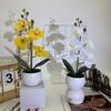 Realistic Artificial Orchid Arrangement With Small Round Pot For Indoor And Outdoor Decoration