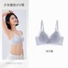 Lace V-neck underwear ultra-thin breathable no steel ring bra adjustable breast light and thin versatile bra