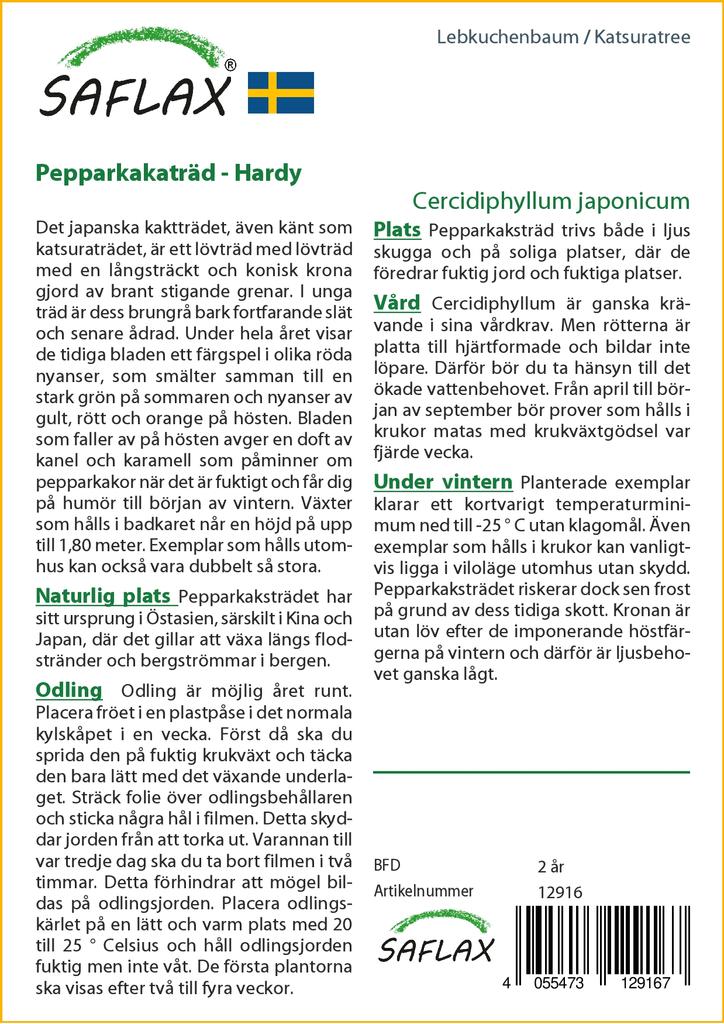 SAFLAX Кацуратри - 200 семян - Cercidiphyllum japonicum