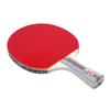 Double Fish 4D-E 4-Star Penhold Table Tennis Racket