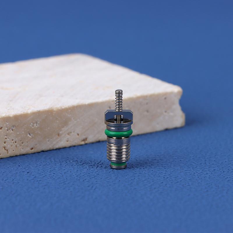 10 шт. Ac R134A клапан сердечник автомобильный кондиционер сердечники иглы ремонтный комплект термостойкие автомобильные аксессуары