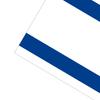 Israel Israeli Flag Polyester We Stand with Israel Garden Flag for Holiday Courtyard Outdoor Decoration 90x150cm