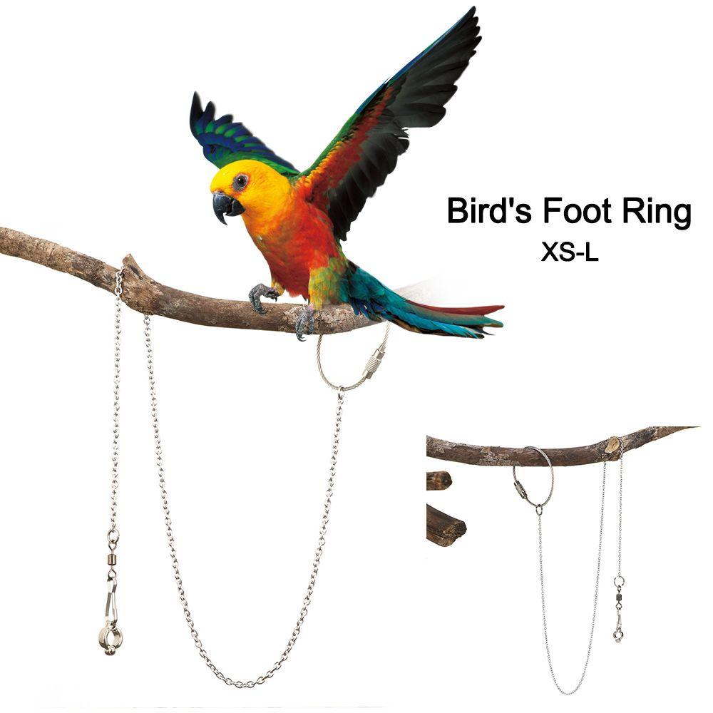 4 Size Flying Training Safe Parrot Foot Chain Bird's Foot Ring Anklet Stand Chain Ankle Foot Ring