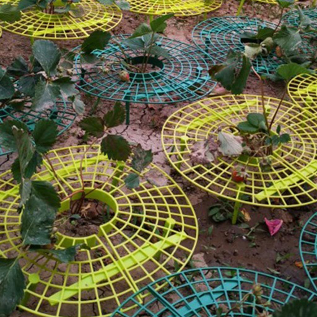 Strawberry Frame Holder, 10Pcs Balcony Garden Fruit Stand Gardening Strawberry Plant Frame Keeps Fruit Clean