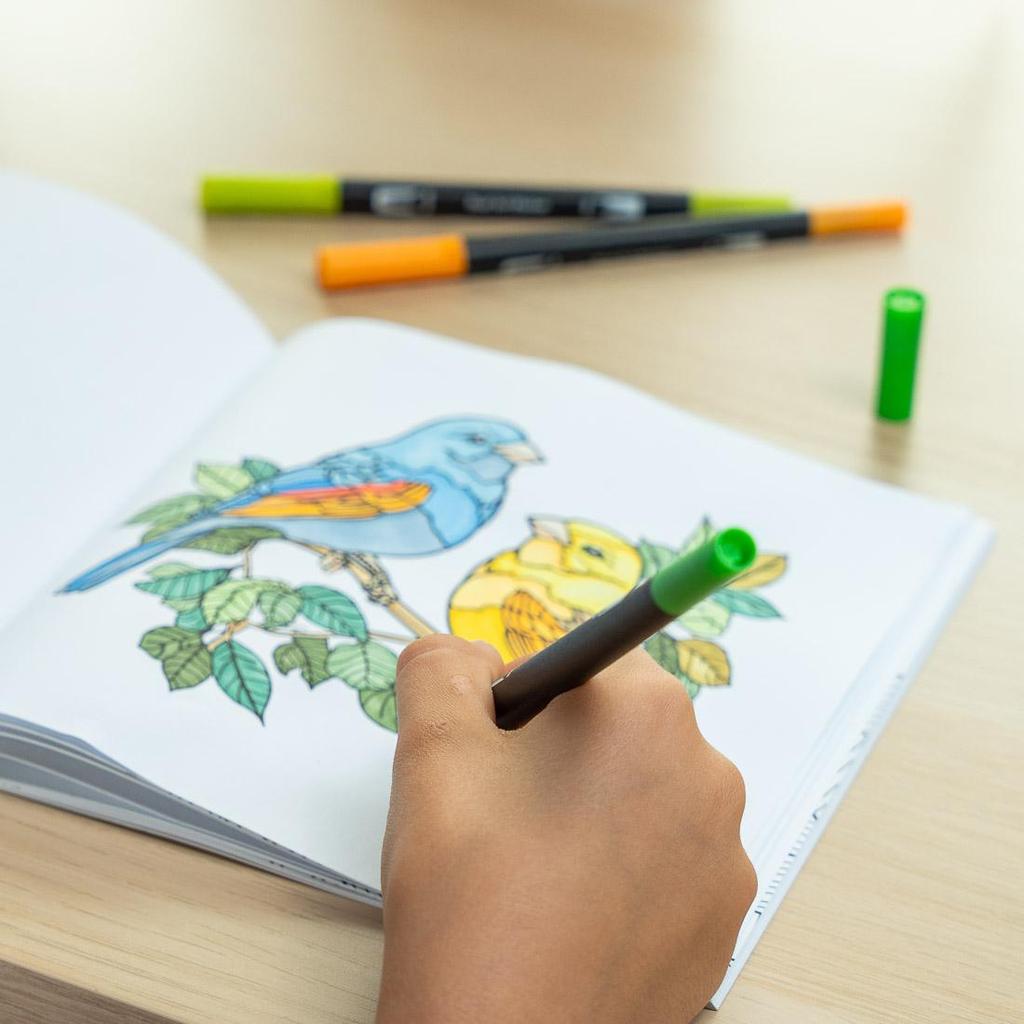 Книжка-раскраска. Книжка-раскраска для взрослых. Книжка-раскраска для детей.