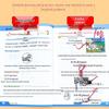 Учебник математики для 1 и 2 классов: Устный счет, Задачи на мышление, Решение текстовых задач с помощью графиков