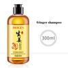 Ginger Shampoo Gentle Hydrating Moisturizing Refreshing Supple and Nourishing Polygonum Multiflorum Shampoo