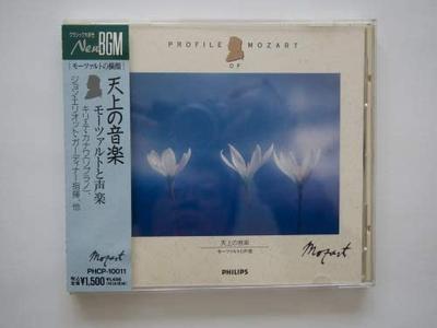 Музыкальные альбомы – CD-записи