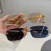 Vintage Leopard Head Square Sunglasses Unisex Rimless Sunglasses Marine Piece Glasses
