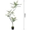 Artificial Indoor Plants & Trees: Monstera, Areca Palm, Jacaranda, Nandina, Rubber Fig - Free Shipping